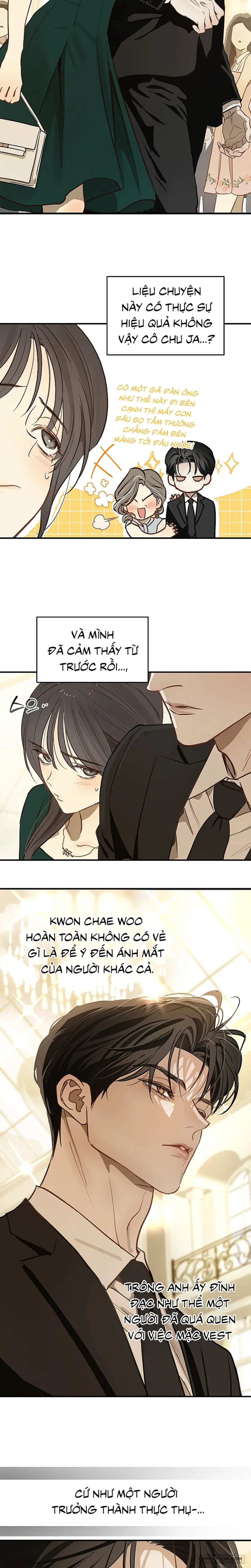 [19+] Đóa Hoa Là Mồi Nhử - Chap 33 - Trang 27