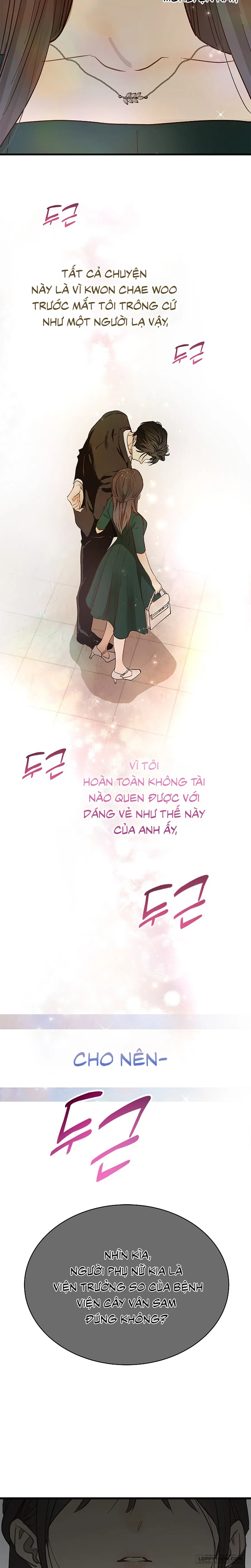 [19+] Đóa Hoa Là Mồi Nhử - Chap 33 - Trang 30