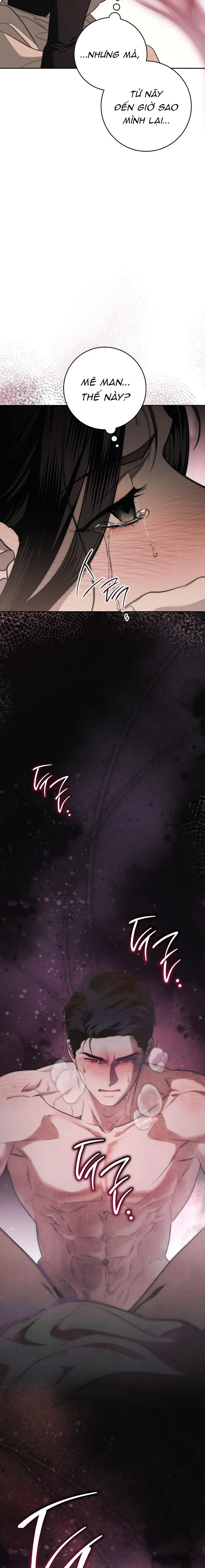 [19+] Mộ Thiên Nga - Chap 2 - Trang 12