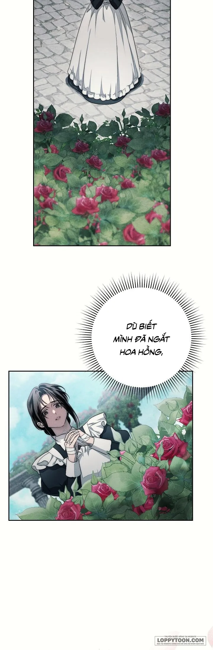[19+] Mộ Thiên Nga - Chap 22 - Trang 24
