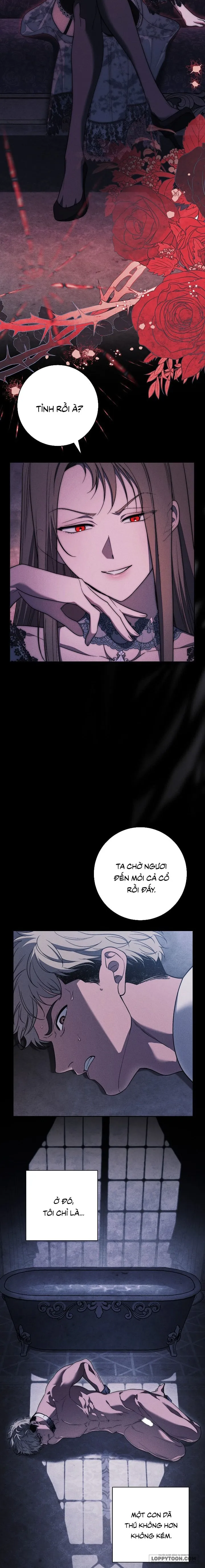 [19+] Mộ Thiên Nga - Chap 36 - Trang 4