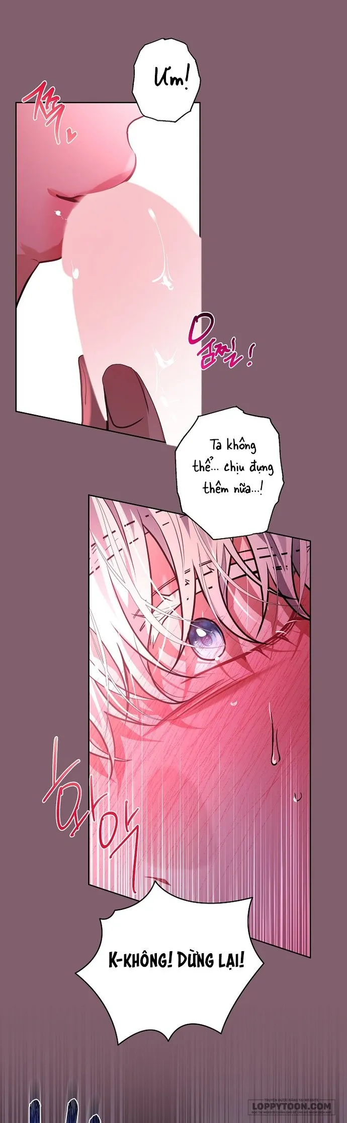 [19+] Thánh Kị Sĩ Và Ác Ma - Chap 3 - Trang 23
