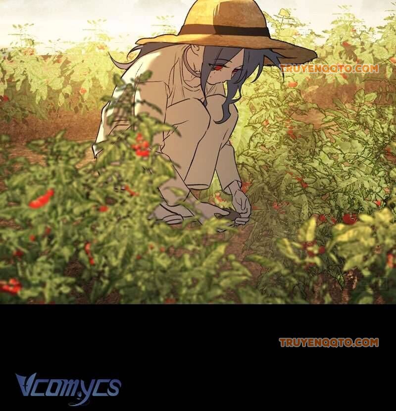 Ác Chi Hoàn - Chap 23 - Trang 12