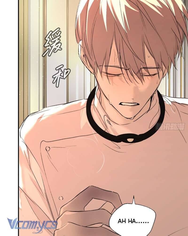 Ác Chi Hoàn - Chap 53 - Trang 123