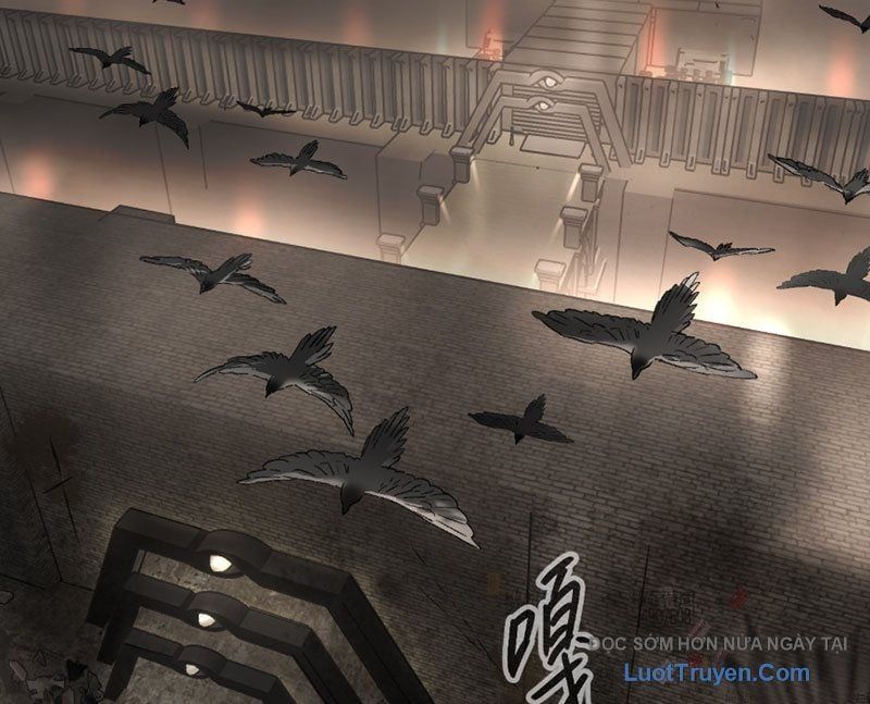 Ác Chi Hoàn - Chap 71 - Trang 74