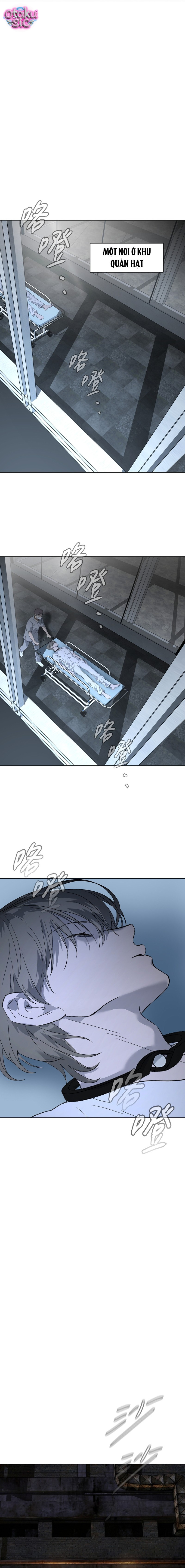 Ác Chi Hoàn - Chap 81 - Trang 13