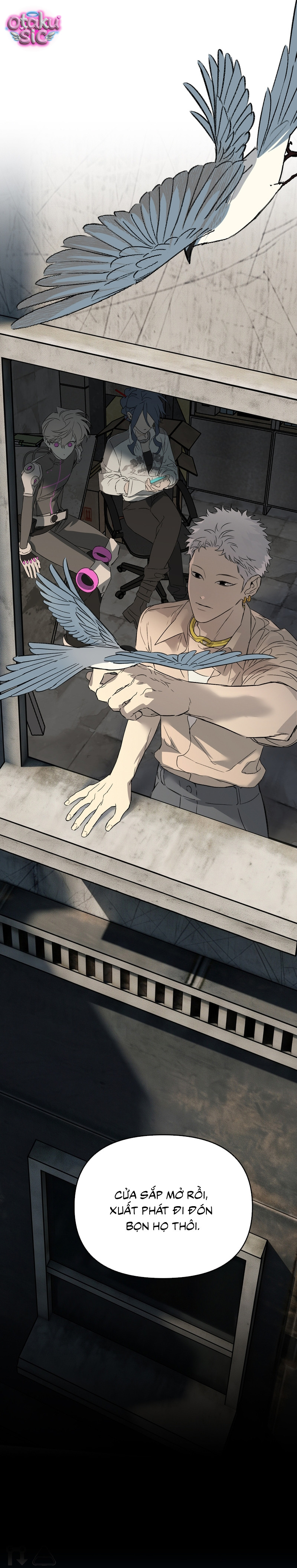 Ác Chi Hoàn - Chap 87 - Trang 6