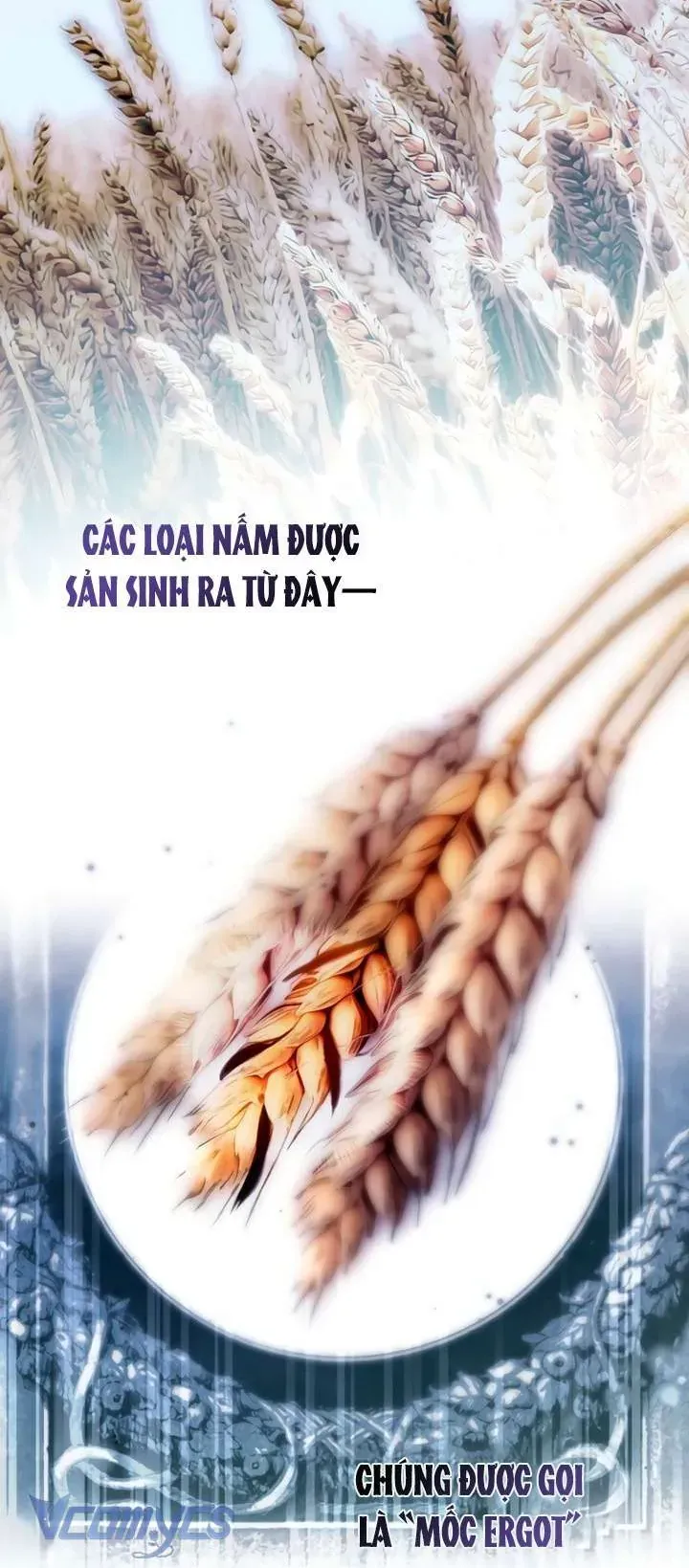 Ai Đó Đang Điều Khiển Cơ Thể Của Tôi - Chap 79 - Trang 3