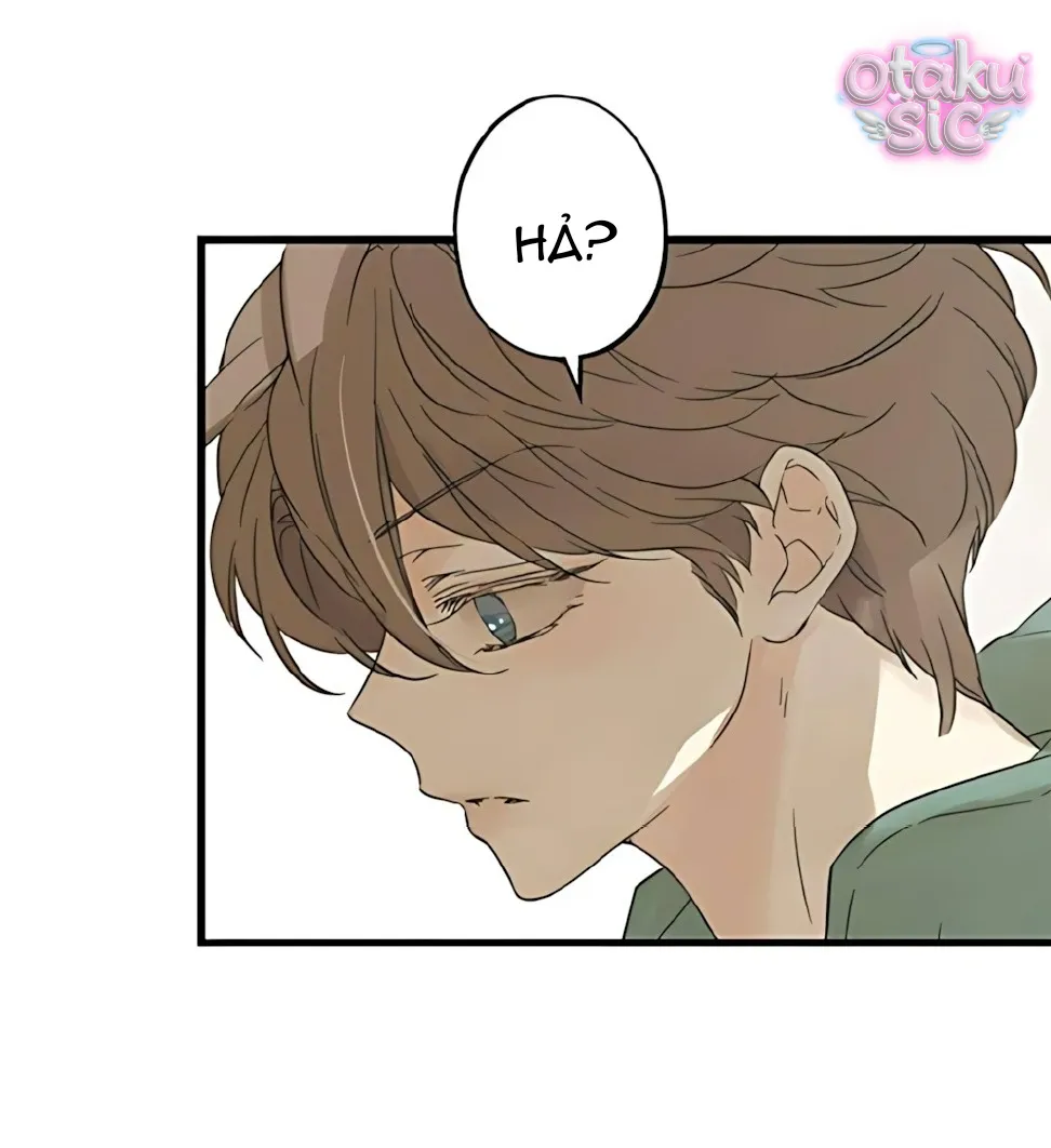 Ẩn Sau Cách Rừng - Chap 14 - Trang 16