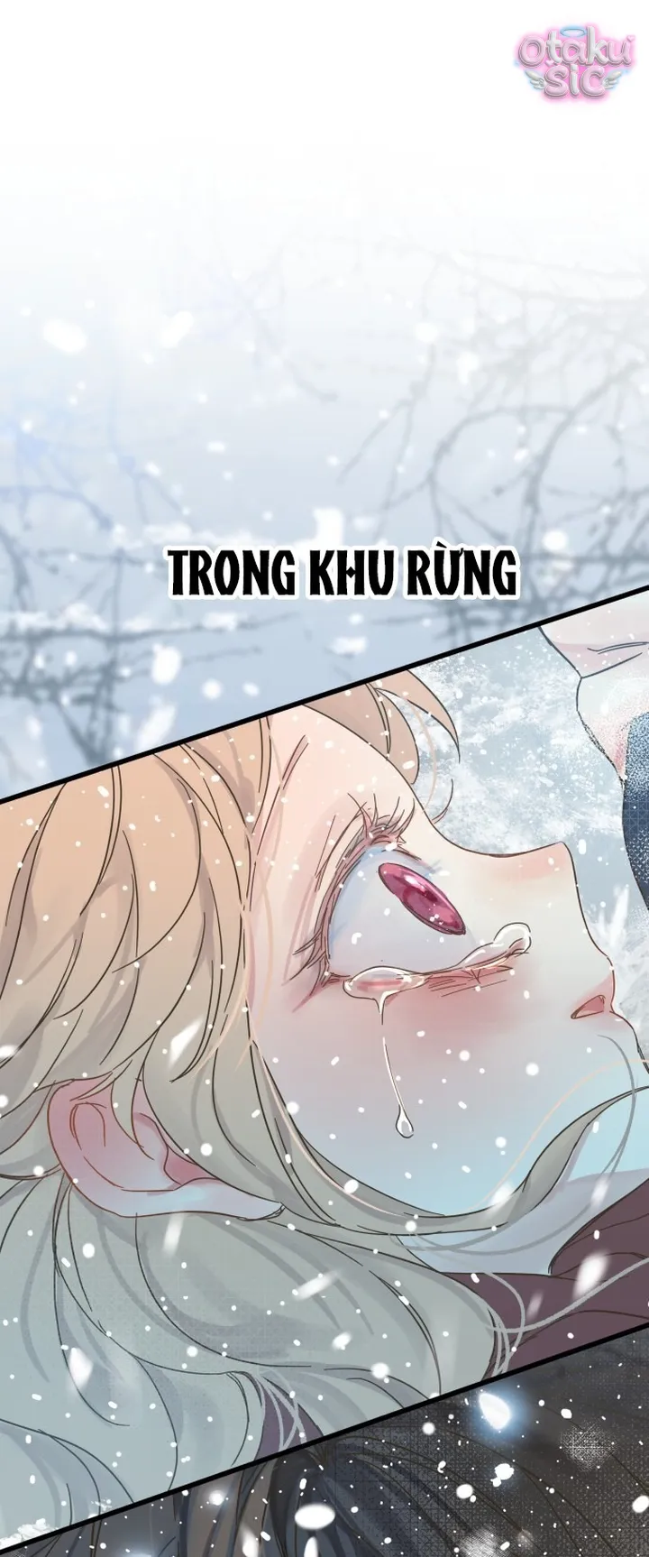Ẩn Sau Cách Rừng - Chap 2 - Trang 1
