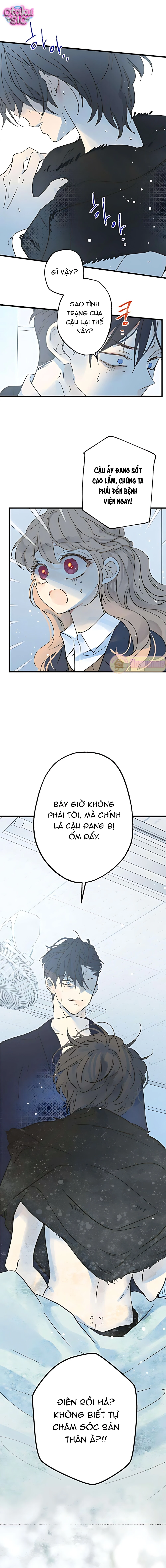 Ẩn Sau Cách Rừng - Chap 23 - Trang 4