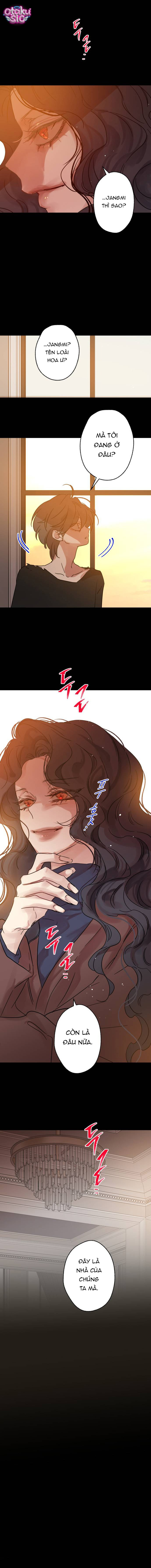 Ẩn Sau Cách Rừng - Chap 27 - Trang 8