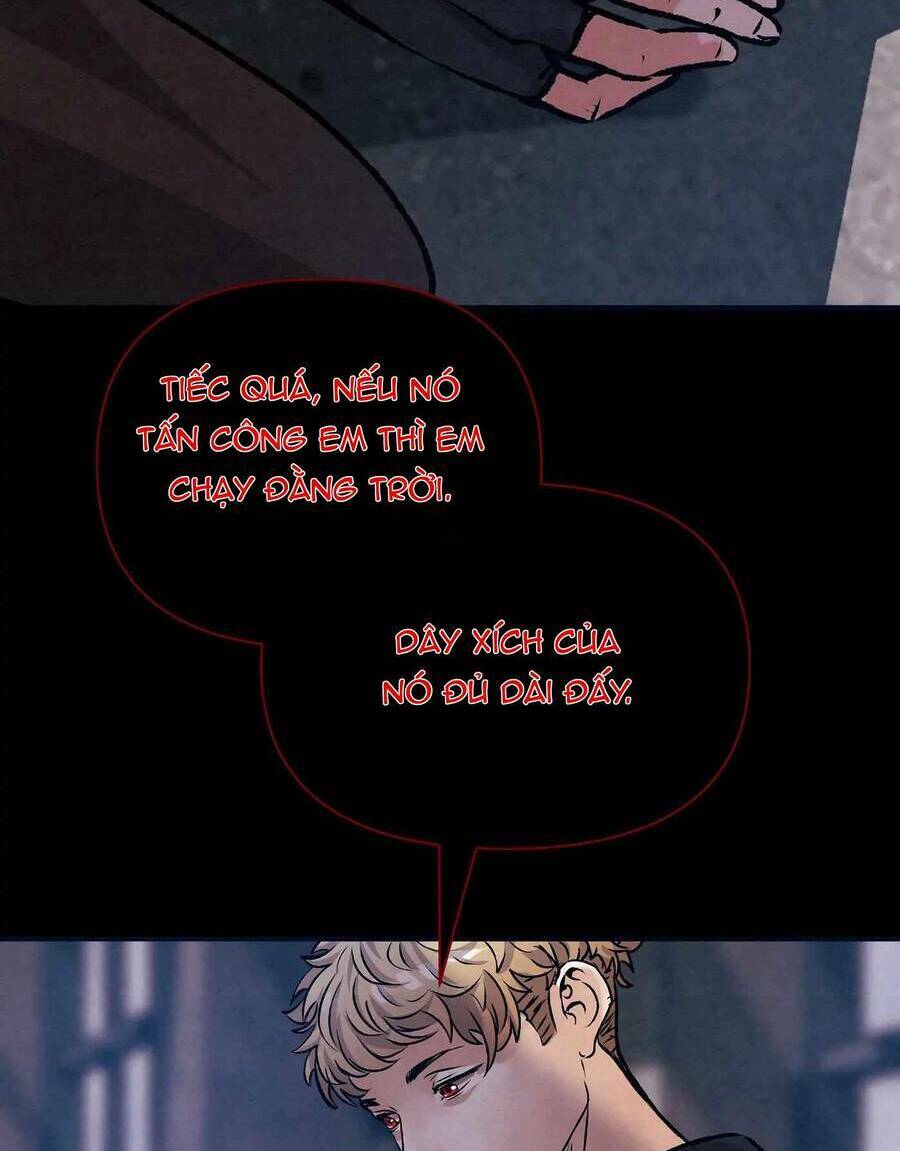 An Toàn Như Ở Nhà - Chap 27 - Trang 21