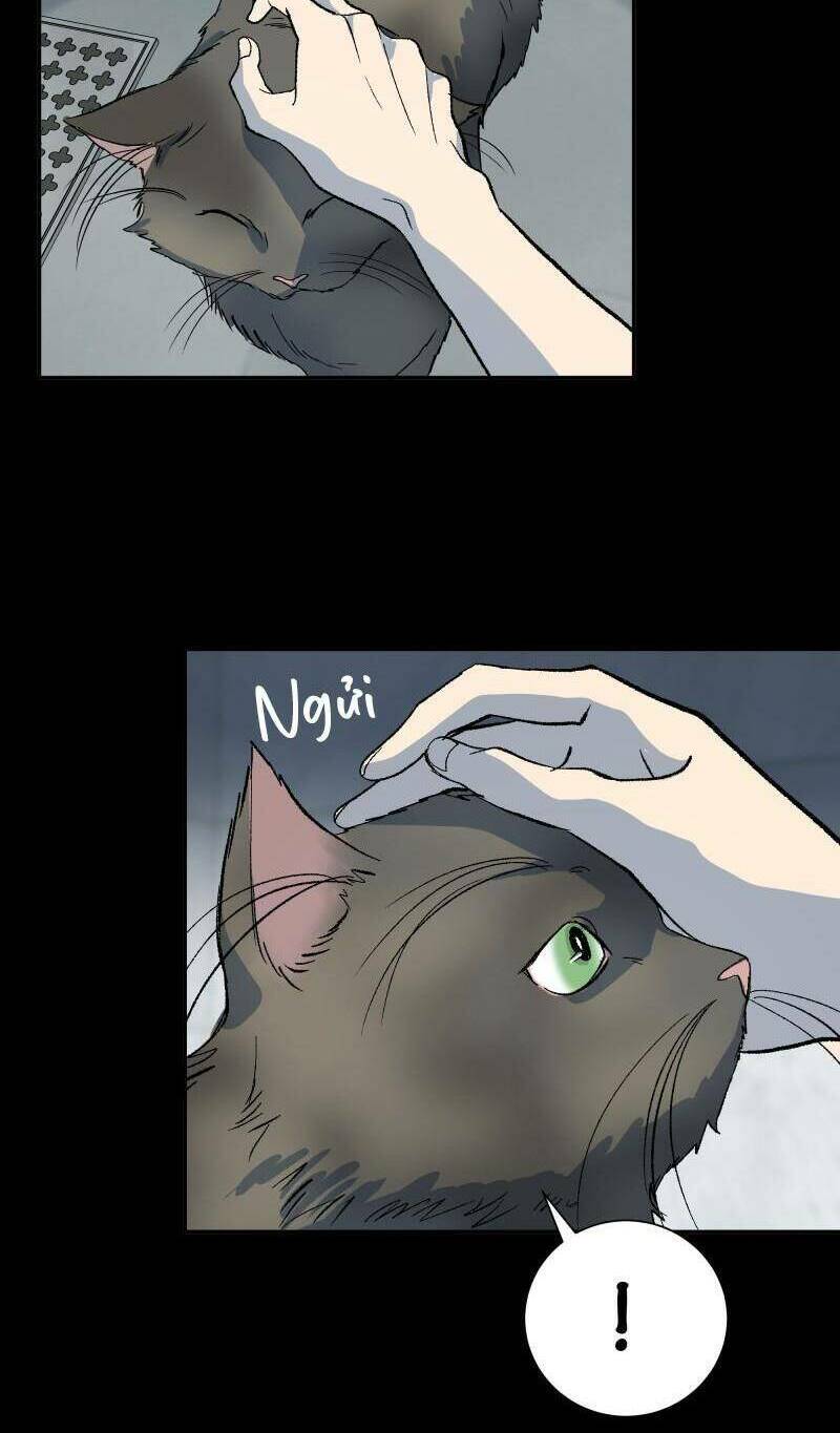 Anh Chàng Lầu Trên - Chap 15 - Trang 7