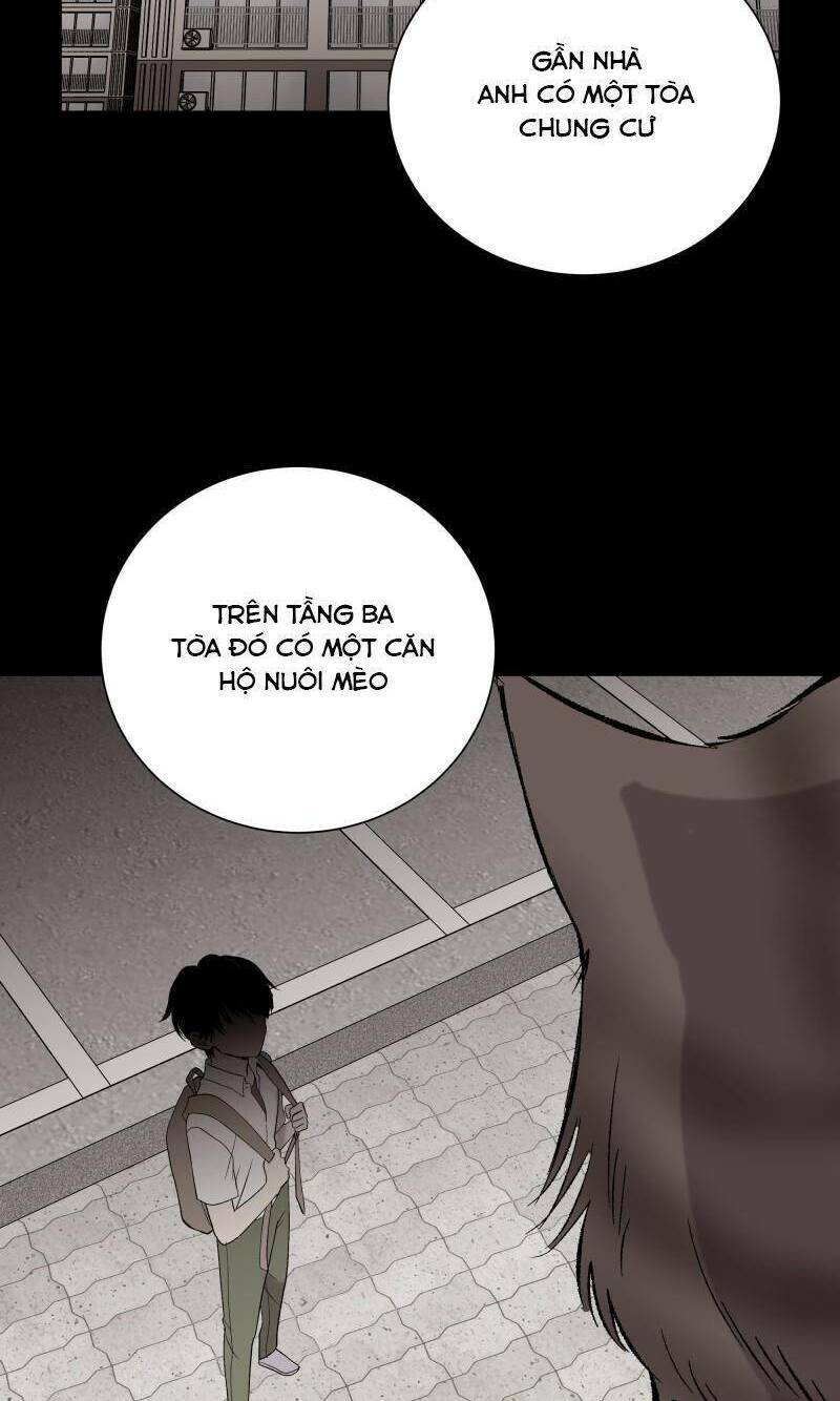 Anh Chàng Lầu Trên - Chap 27 - Trang 11