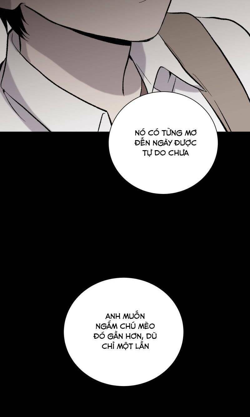 Anh Chàng Lầu Trên - Chap 27 - Trang 14