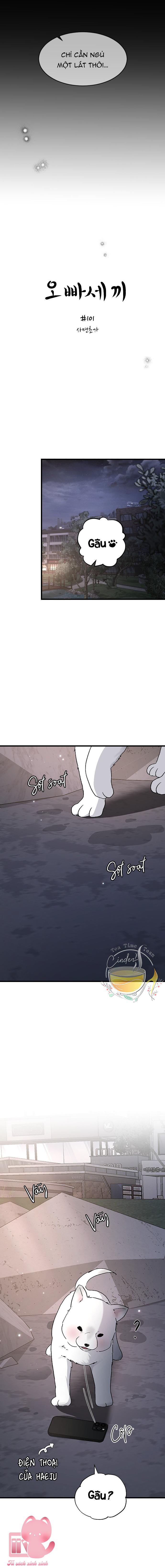 Ba Anh Trai Cực Phẩm Của Tôi - Chap 101 - Trang 5