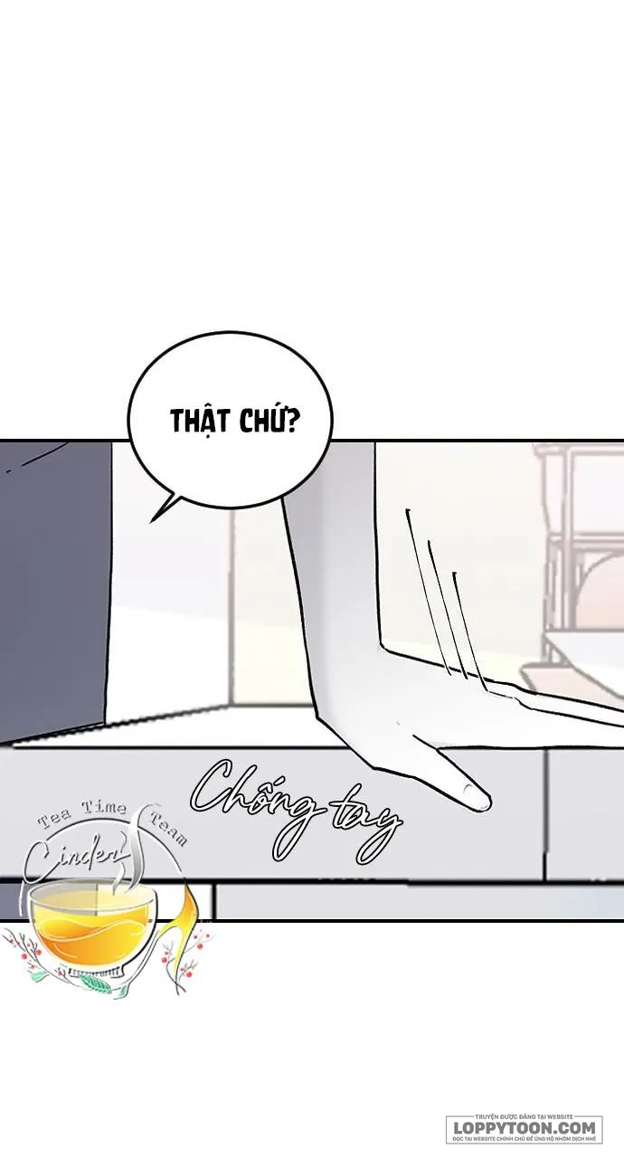 Ba Anh Trai Cực Phẩm Của Tôi - Chap 15 - Trang 19