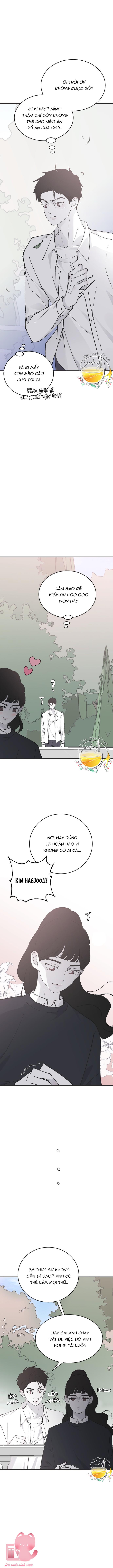 Ba Anh Trai Cực Phẩm Của Tôi - Chap 24 - Trang 11