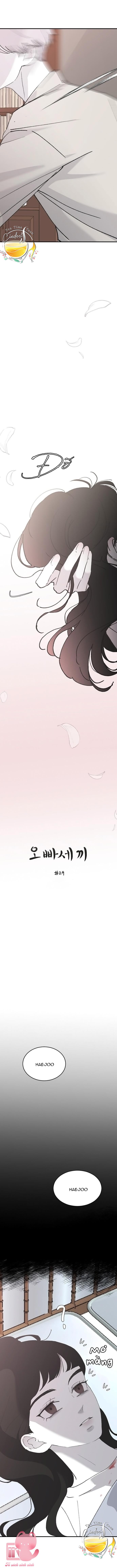 Ba Anh Trai Cực Phẩm Của Tôi - Chap 29 - Trang 4