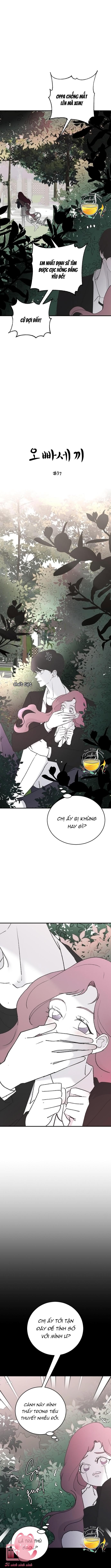 Ba Anh Trai Cực Phẩm Của Tôi - Chap 37 - Trang 4