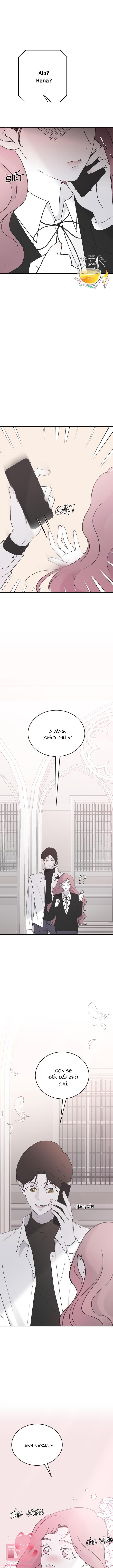 Ba Anh Trai Cực Phẩm Của Tôi - Chap 41 - Trang 11
