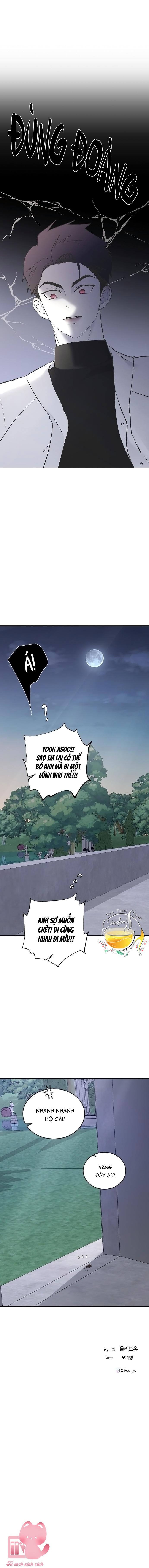 Ba Anh Trai Cực Phẩm Của Tôi - Chap 49 - Trang 17