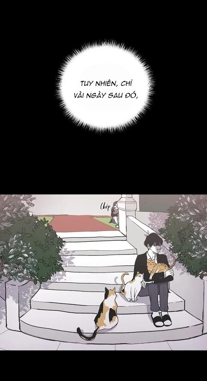Ba Anh Trai Cực Phẩm Của Tôi - Chap 7 - Trang 30
