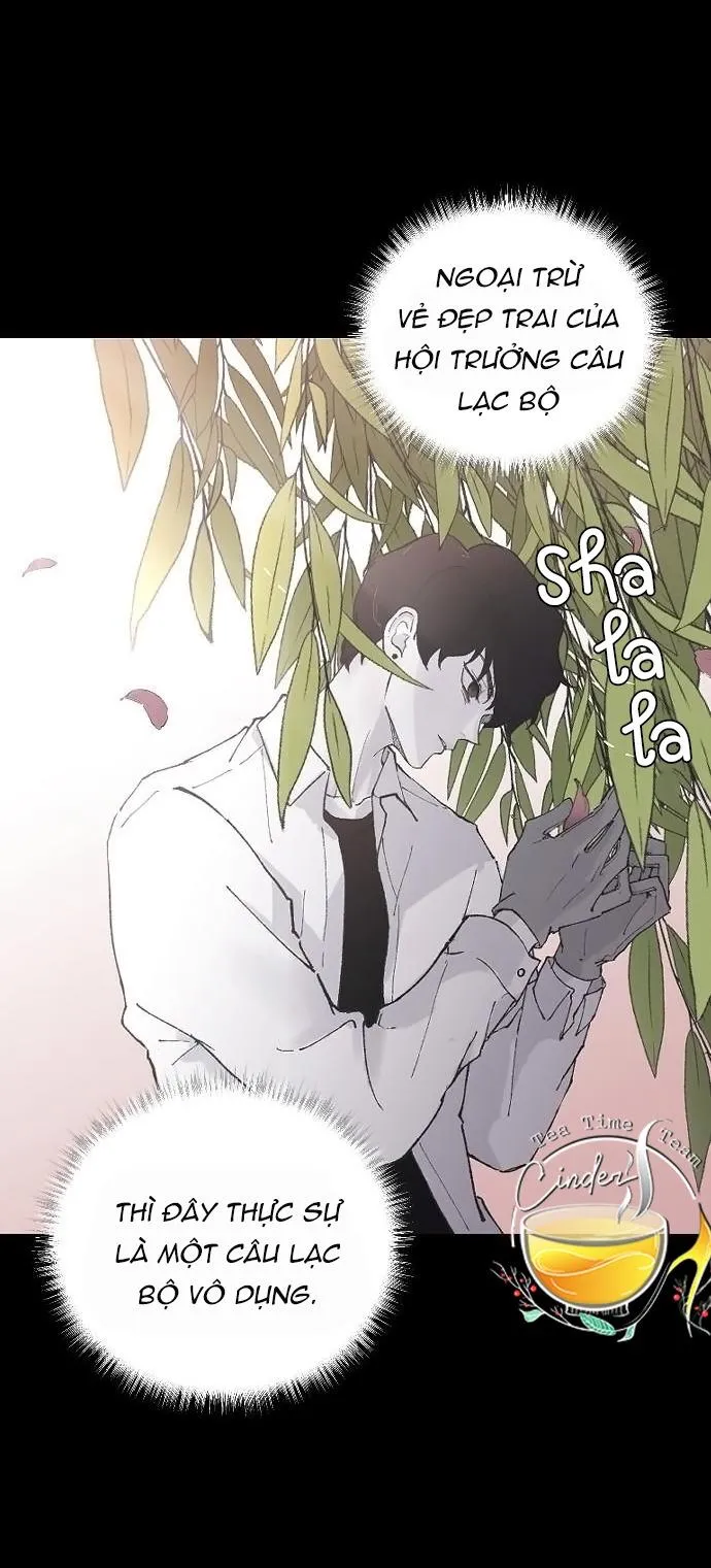Ba Anh Trai Cực Phẩm Của Tôi - Chap 7 - Trang 33