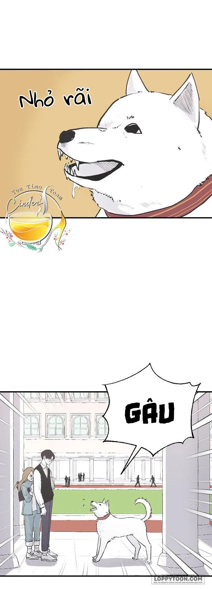 Ba Anh Trai Cực Phẩm Của Tôi - Chap 8 - Trang 20