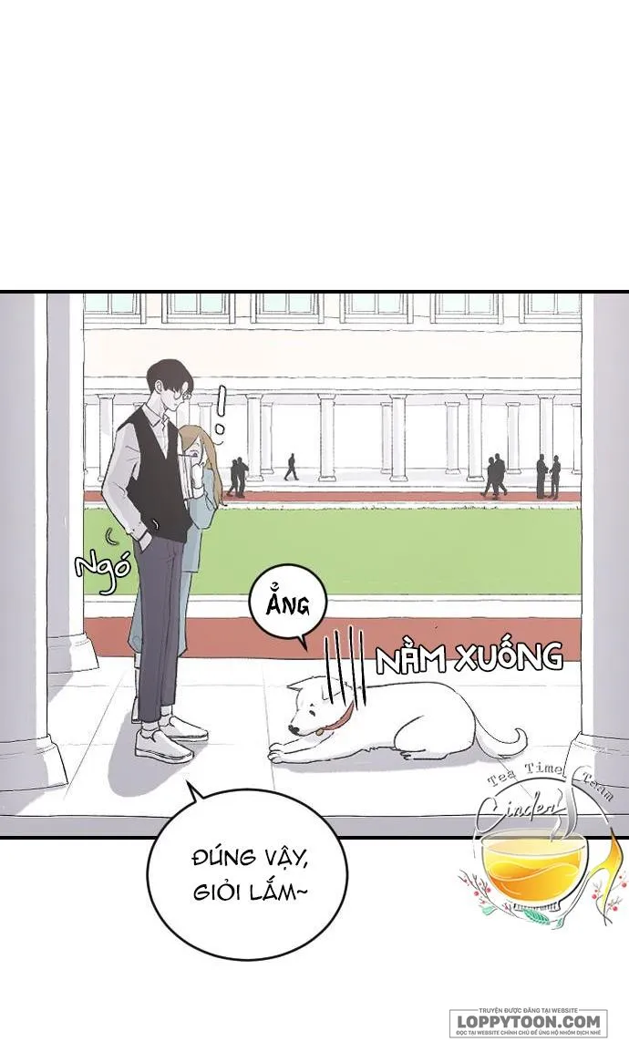 Ba Anh Trai Cực Phẩm Của Tôi - Chap 8 - Trang 24