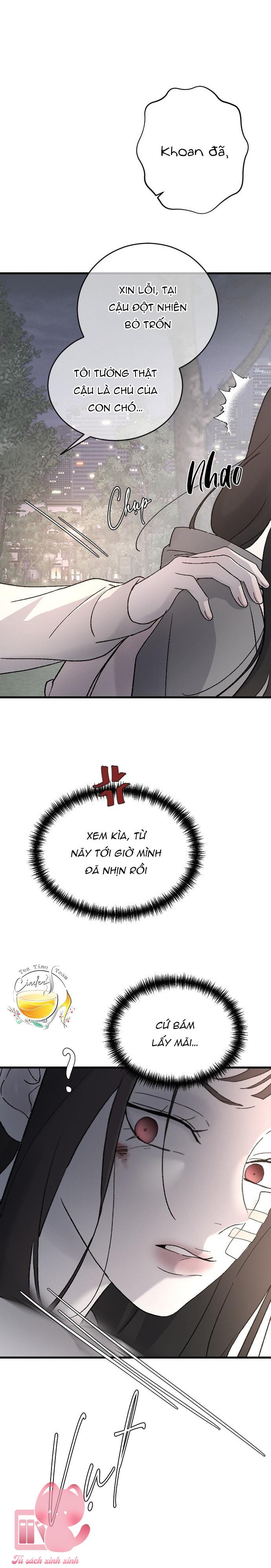 Ba Anh Trai Cực Phẩm Của Tôi - Chap 99 - Trang 13