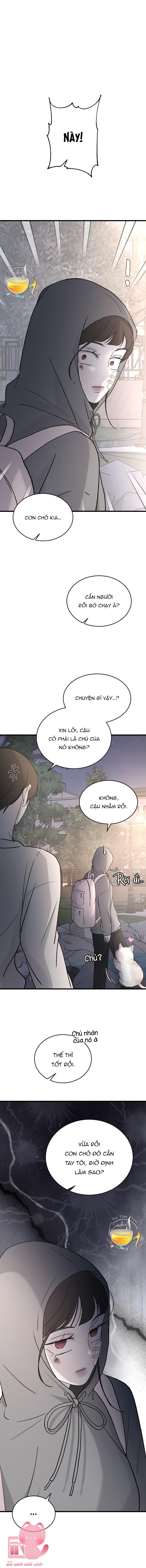 Ba Anh Trai Cực Phẩm Của Tôi - Chap 99 - Trang 4