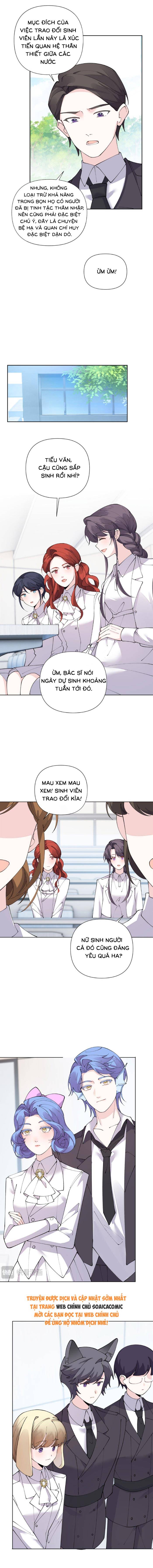 Ban Ngày Đào Hôn, Ban Đêm Lại Được Xin Ôm - Chap 135 - Trang 2