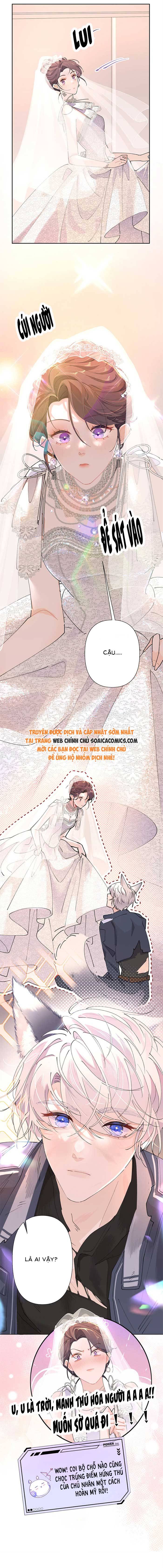 Ban Ngày Đào Hôn, Ban Đêm Lại Được Xin Ôm - Chap 2 - Trang 2