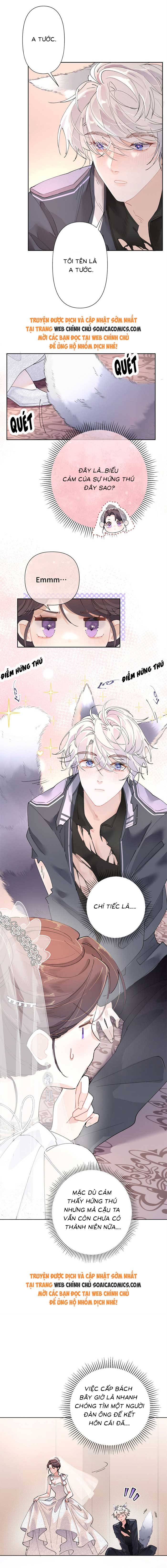 Ban Ngày Đào Hôn, Ban Đêm Lại Được Xin Ôm - Chap 2 - Trang 3