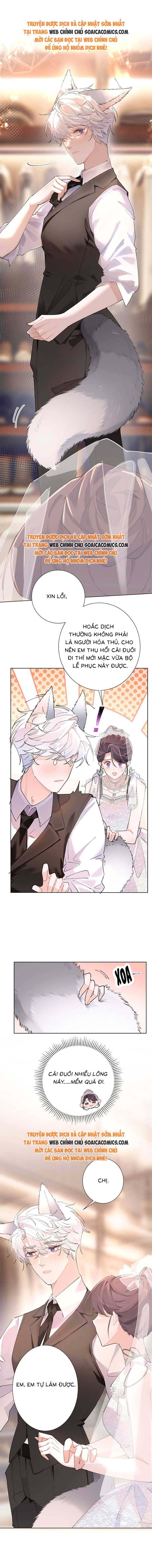 Ban Ngày Đào Hôn, Ban Đêm Lại Được Xin Ôm - Chap 3 - Trang 3