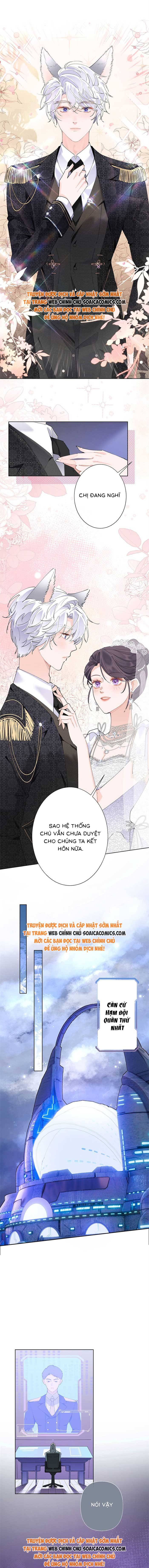 Ban Ngày Đào Hôn, Ban Đêm Lại Được Xin Ôm - Chap 3 - Trang 5