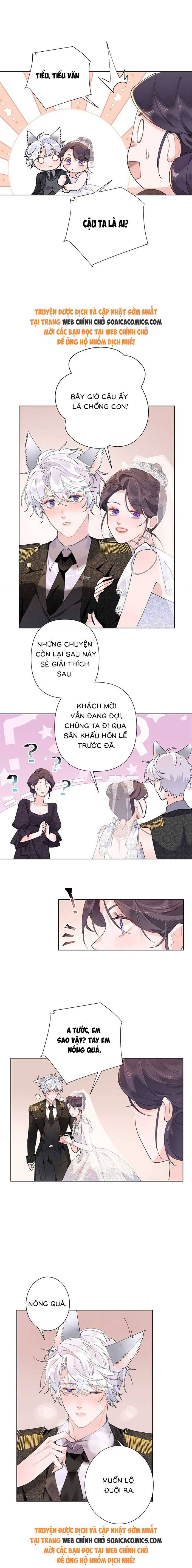 Ban Ngày Đào Hôn, Ban Đêm Lại Được Xin Ôm - Chap 4 - Trang 2
