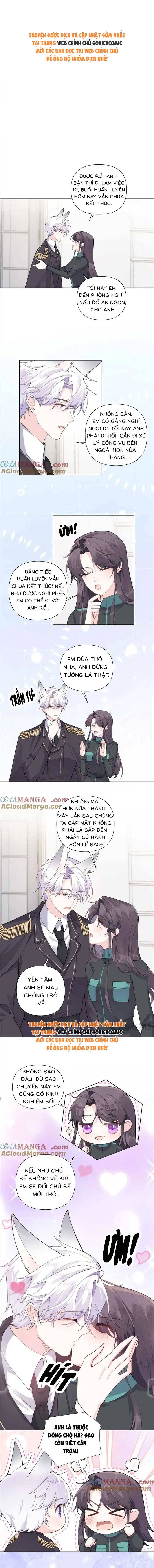 Ban Ngày Đào Hôn, Ban Đêm Lại Được Xin Ôm - Chap 56 - Trang 1