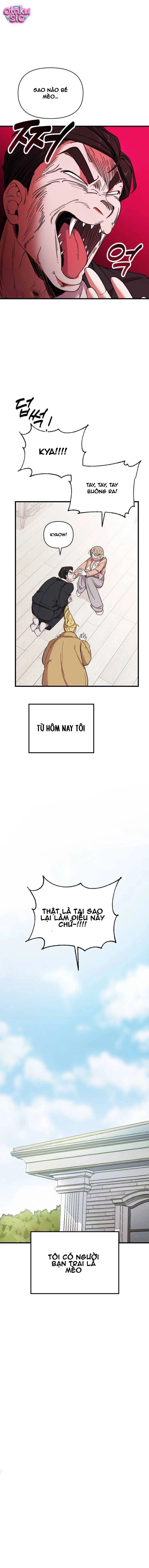 Bạn trai tôi là một con mèo! - Chap 1 - Trang 16