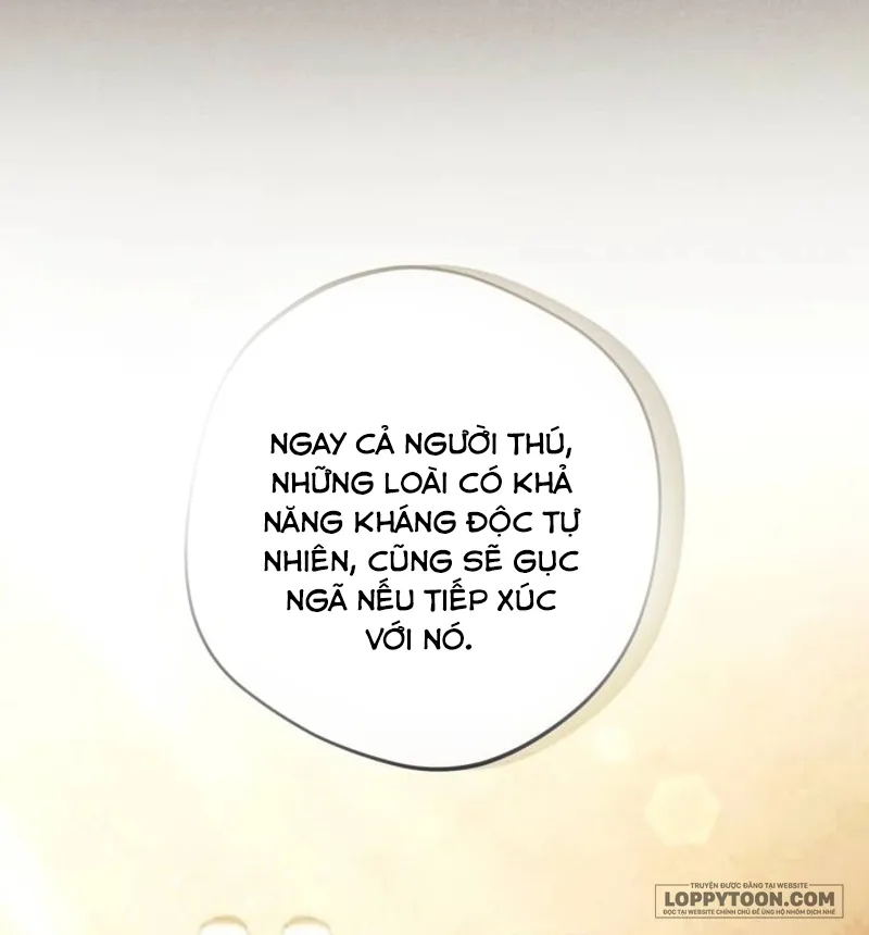 Bạo Chúa Độc Ác Trở Lại - Chap 35 - Trang 56