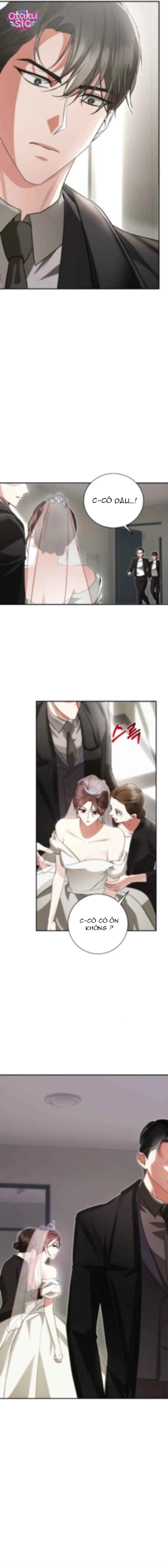 Báo Thù Cùng Chồng Mới - Chap 2 - Trang 1