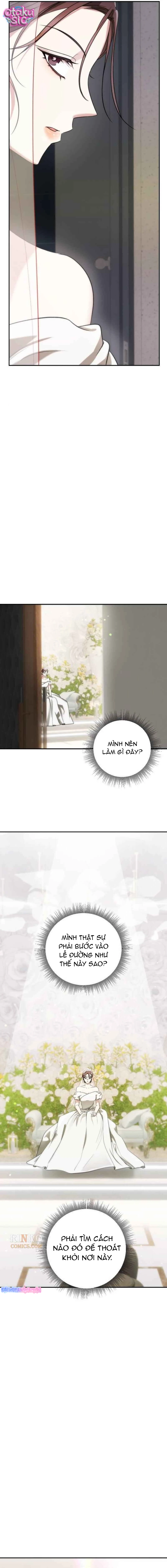 Báo Thù Cùng Chồng Mới - Chap 2 - Trang 2