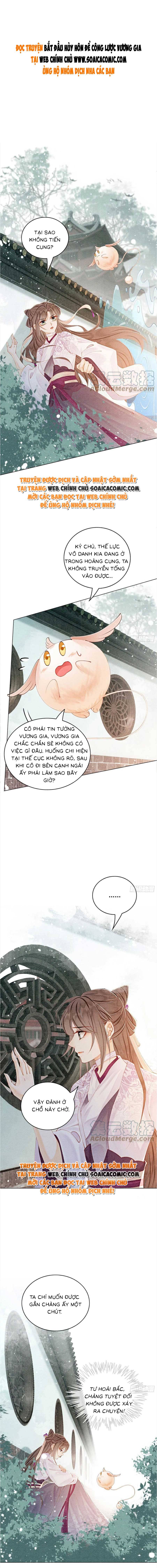 Bắt Đầu Hủy Hôn Để Công Lược Vương Gia - Chap 62 - Trang 1