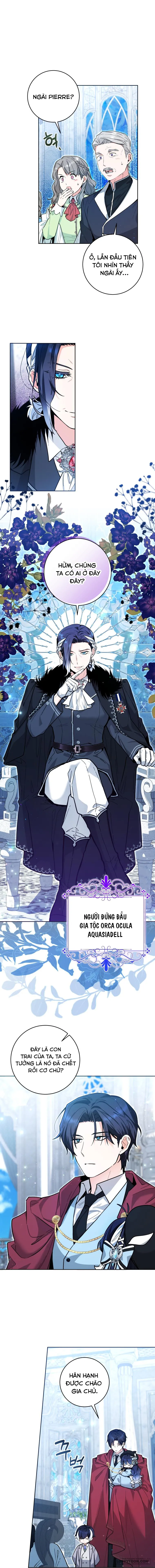 Bé Cá Voi Sát Thủ Phản Diện - Chap 22 - Trang 1