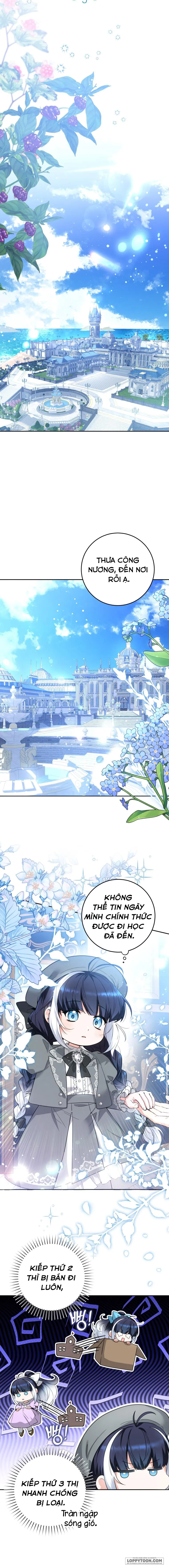 Bé Cá Voi Sát Thủ Phản Diện - Chap 5 - Trang 8