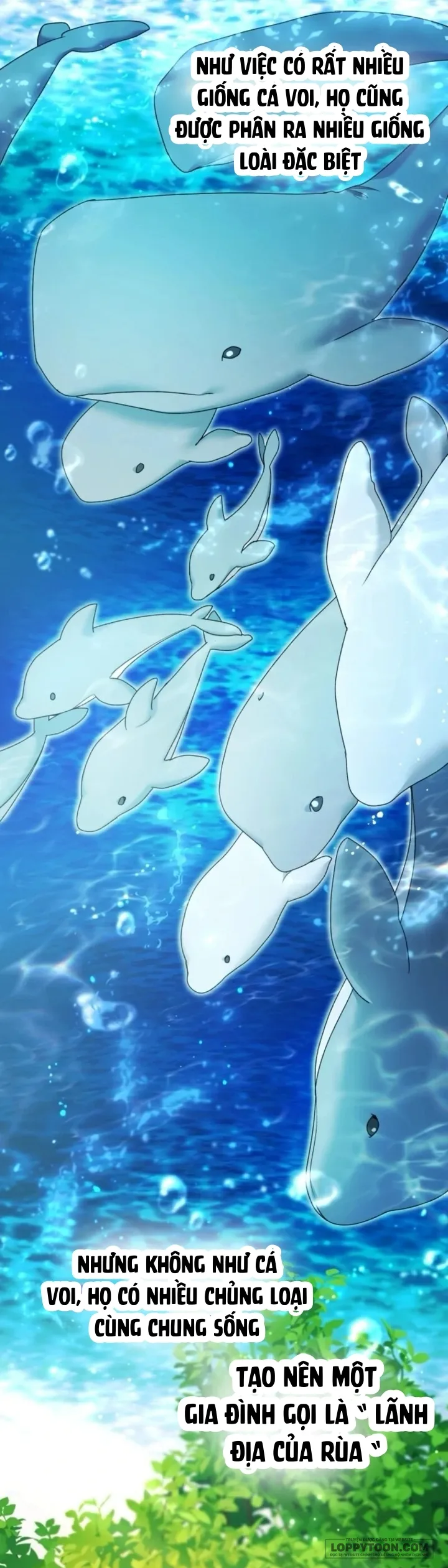 Bé Cá Voi Sát Thủ Phản Diện - Chap 91 - Trang 28