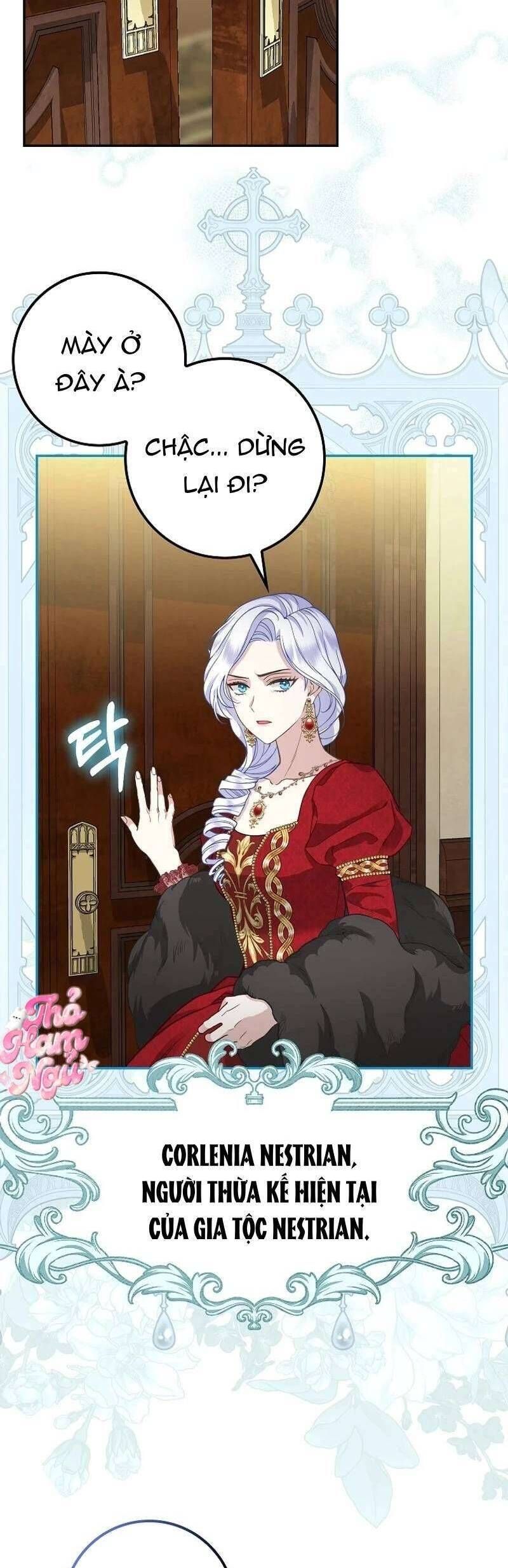 Bé Con Báo Tuyết Của Gia Tộc Báo Đen - Chap 1 - Trang 21