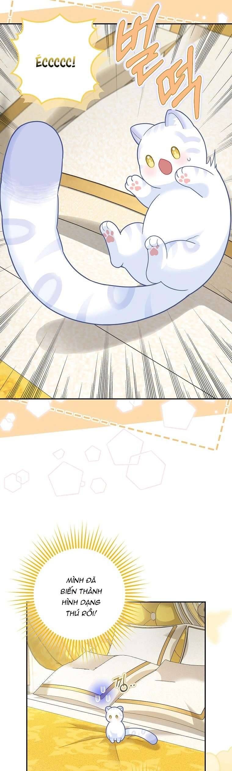 Bé Con Báo Tuyết Của Gia Tộc Báo Đen - Chap 21 - Trang 16